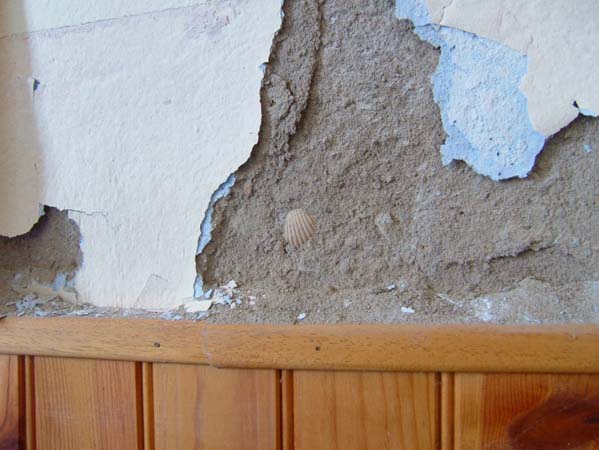 mur-capte