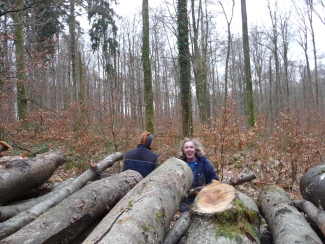bois-3